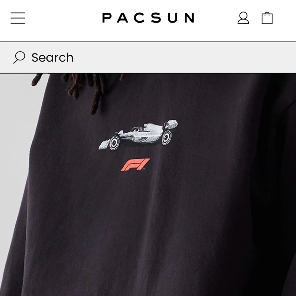 Formula 1 x Pacsun Hoodie Small